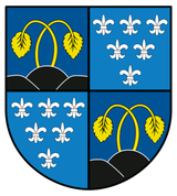 less shitty coat of arms
