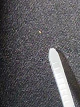 Thread image