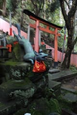 IMG_20250604_175741885