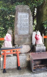 IMG_20250604_171744305