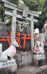 IMG_20250604_171711878