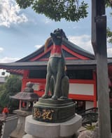 IMG_20250604_163032791_HDR