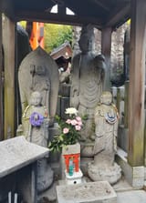 IMG_20250604_181815004_HDR