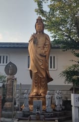 IMG_20250604_182304080_HDR