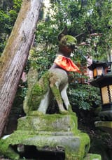 IMG_20250604_175534685