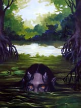 swamp - Copy