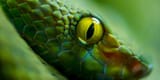 eyes snake