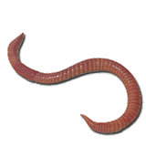 2350587_0480b