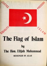 Figure_1_The_Flag_of_Islam