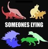 someone is lying