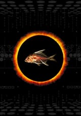 fish_a_feast_of_consequences