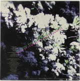 MOMUS_TENDER_PERVERT_LP_2_S2620259