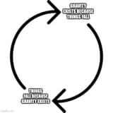 circular reasoning