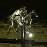 horse