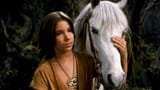 a fuckin horse, of course