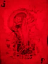 IMG_20250410_082609