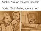 remake-of-the-cat-meme-v0-41