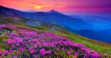 God&#039;s beautiful work3