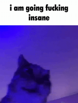 1752033779044725