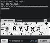 1733500292170043