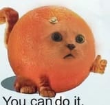You did it.