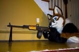 strappedfurry