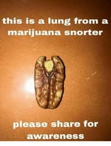 1749697125082459