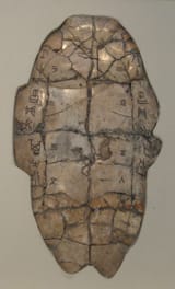 Shang_dynasty_inscribed_tortoise_plastron