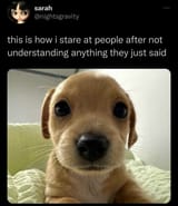 funny-life-memes-1-66ec1ebc5c0fd__700