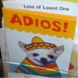 Adios