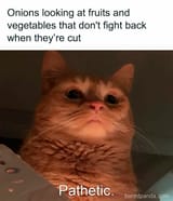 funny-zesty-supreme-memes-9-671f87b8859aa__700