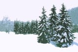 pine