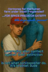 Thread 40517062 OP Image