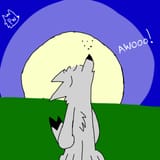 awoo