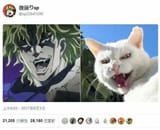 sameenergy