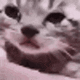 crying-vaughn-chat