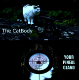 output (pew)