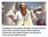 images (19)