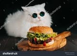 images (45)
