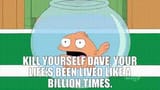 american dad