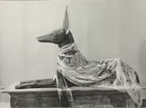 anubis