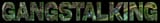 gangstalking1