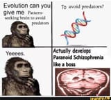 lol