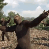 dancing chimps