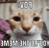 1742257574757854