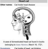 headcat