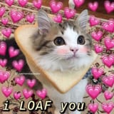 loafyou