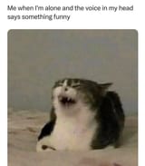 voices.funny