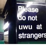 ase-o-not-uwu-at-strangers-13363904