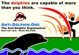 dolphin